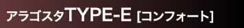 ASX^TYPE-E [RtH[g]