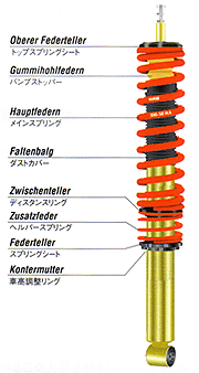 H&R C[W